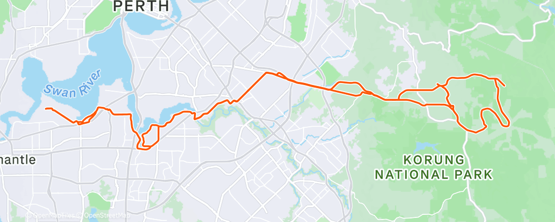 Карта физической активности (Morning Ride)