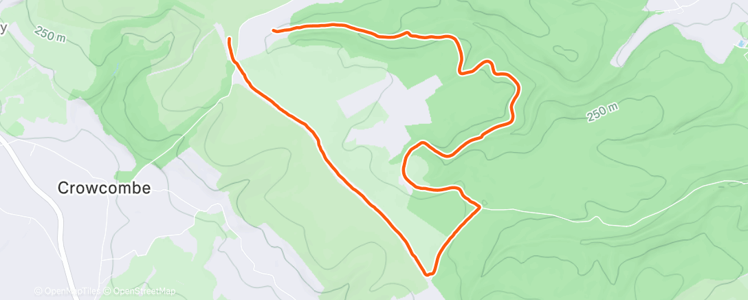 Карта физической активности (Lunch Walk)