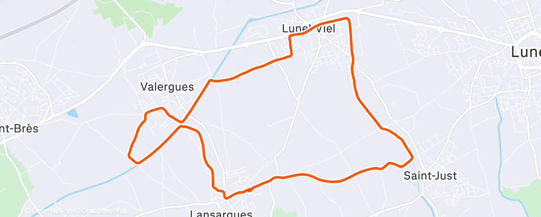 Map of the activity, Morning Run