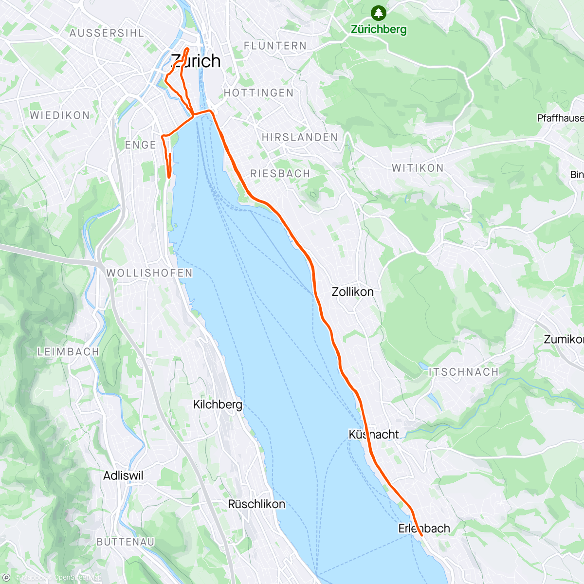 Map of the activity, Zurich Half marathon 🌧️❄️☃️🥶