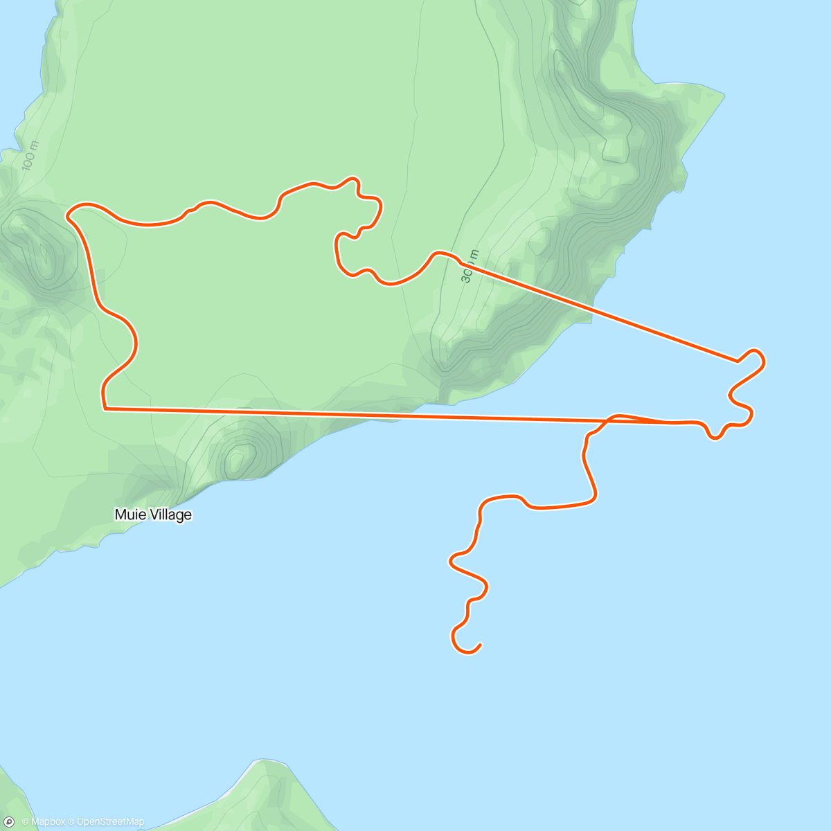 Map of the activity, Short spin