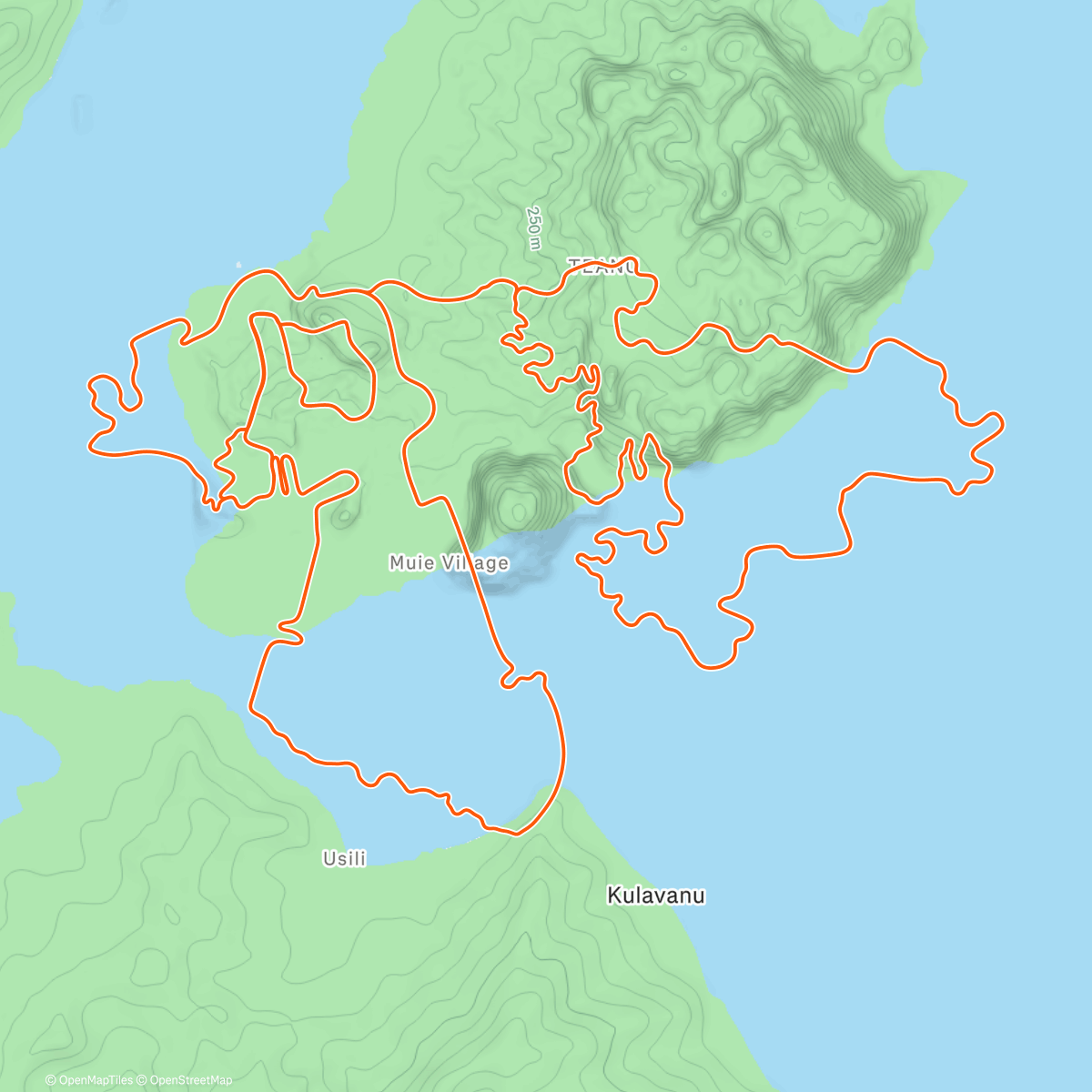 Map of the activity, Zwift - Tair Dringfa Fechan in Watopia