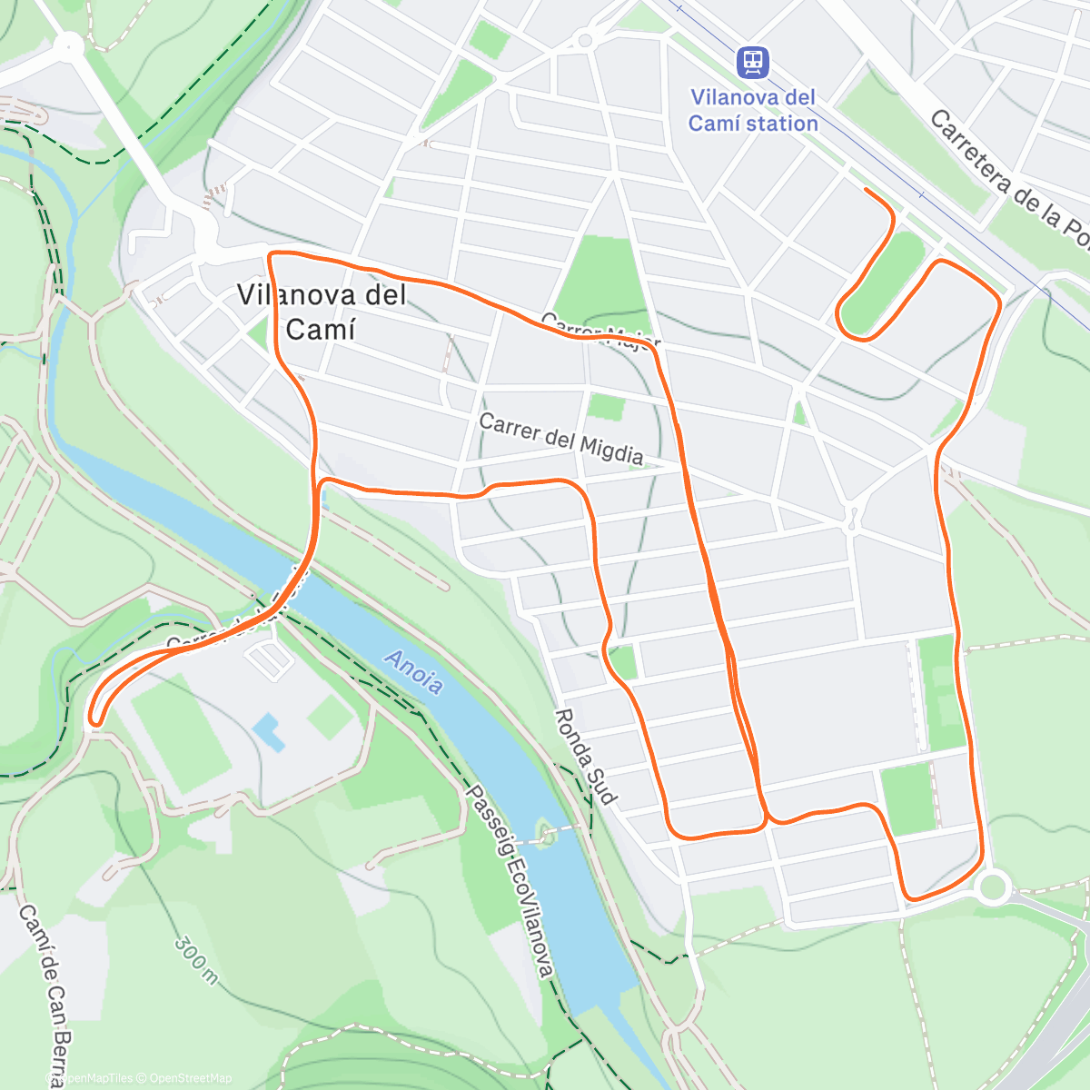 Карта физической активности (Sant Silvestre 2025)