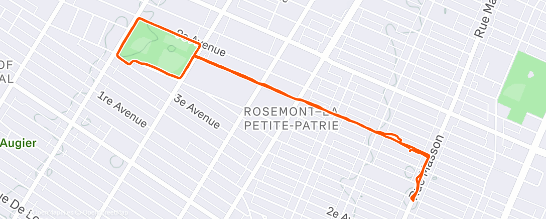 Map of the activity, Afternoon Run