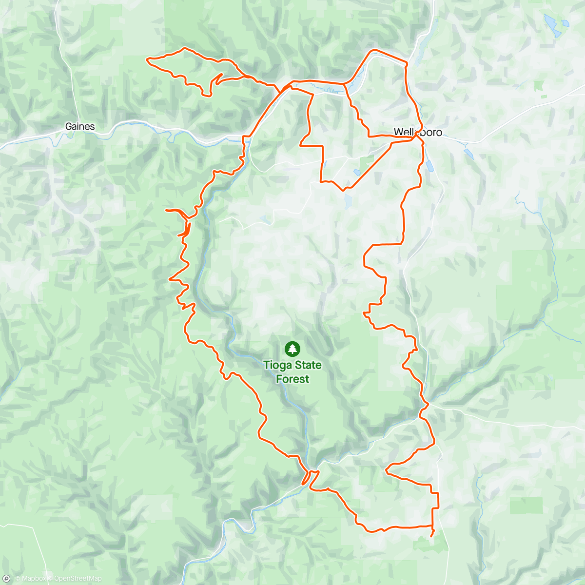 Map of the activity, Mammoth
