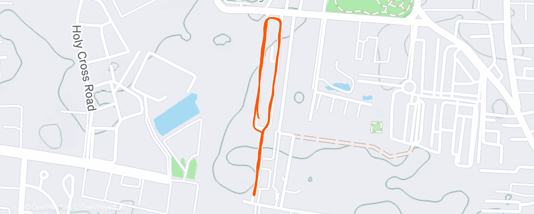 Map of the activity, Morning Run