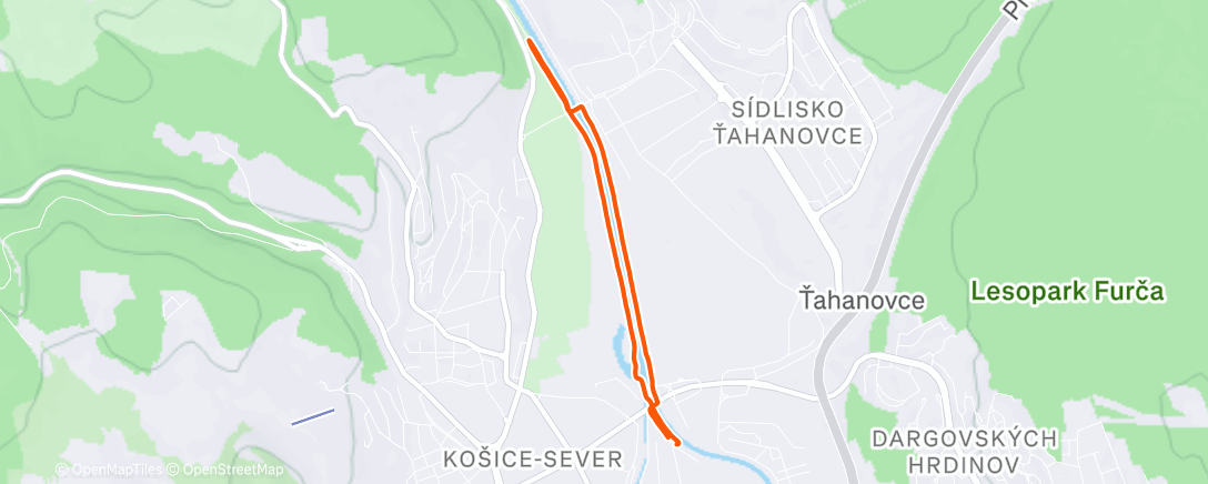 Карта физической активности (Evening Run)