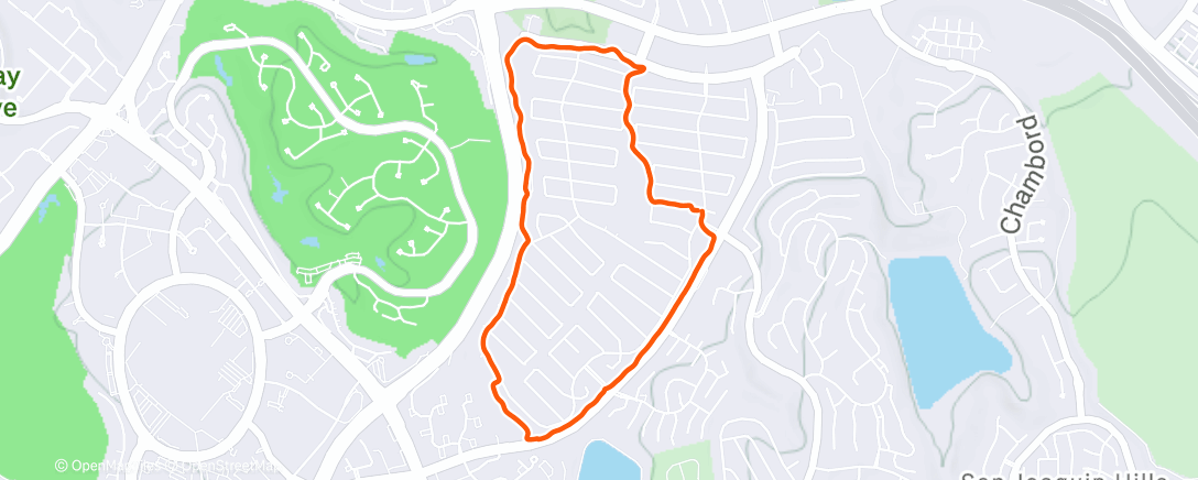 Карта физической активности (Newport Run)