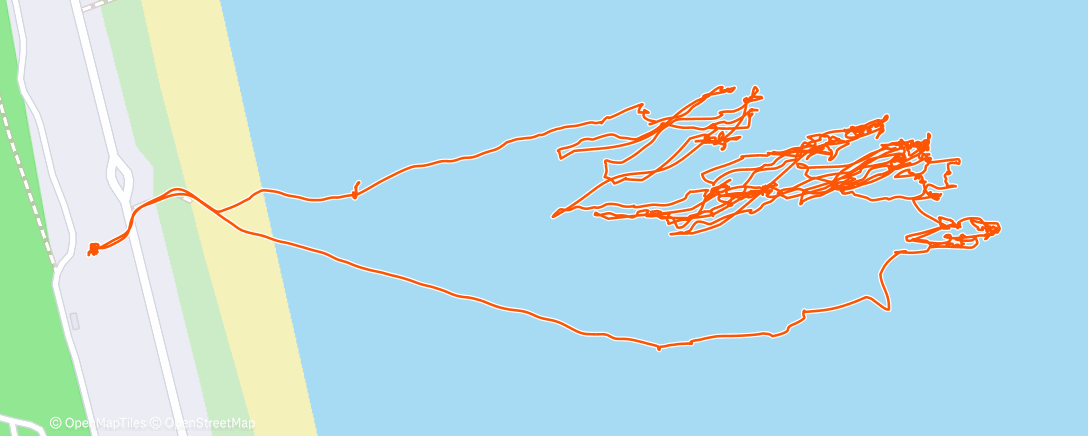 Карта физической активности (Lunch Surfing)