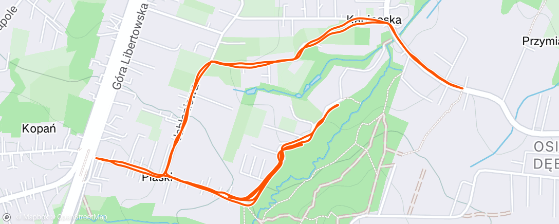 Map of the activity, Morning Run