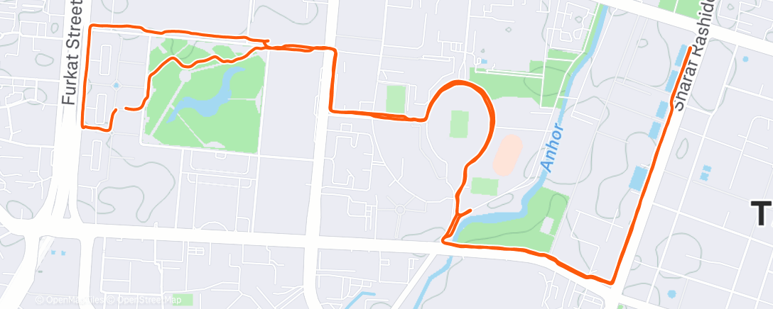 Карта физической активности (Вечерний забег)