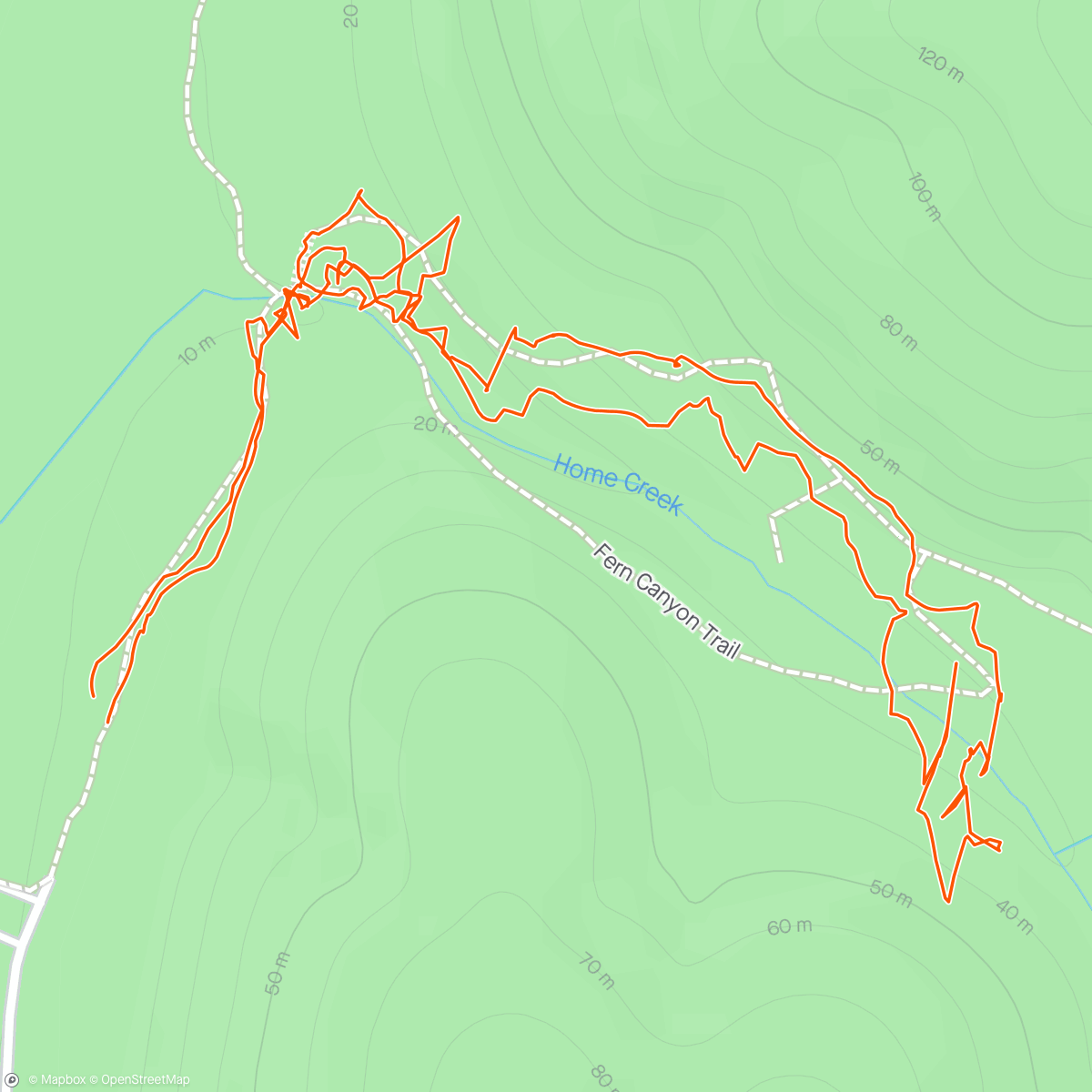 Mapa da atividade, Fern Canyon hike
