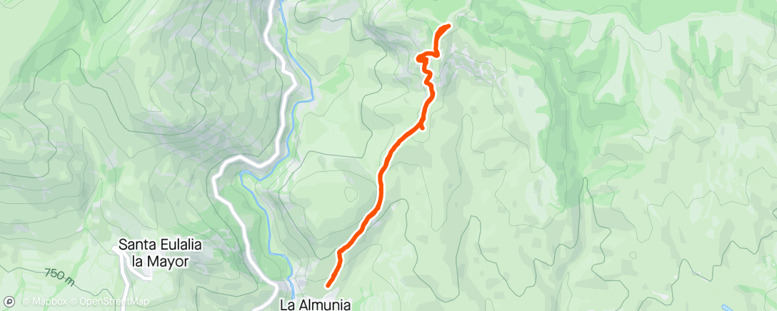 Map of the activity, Pico pipre