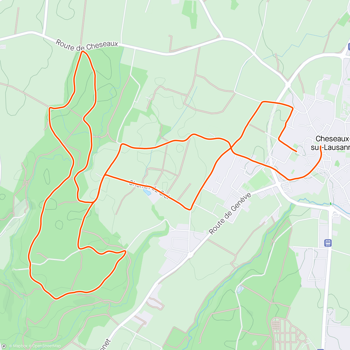 Map of the activity, Cheseaux-sur-Lausanne - LA COURSE DES TRAÎNE-SAVATES