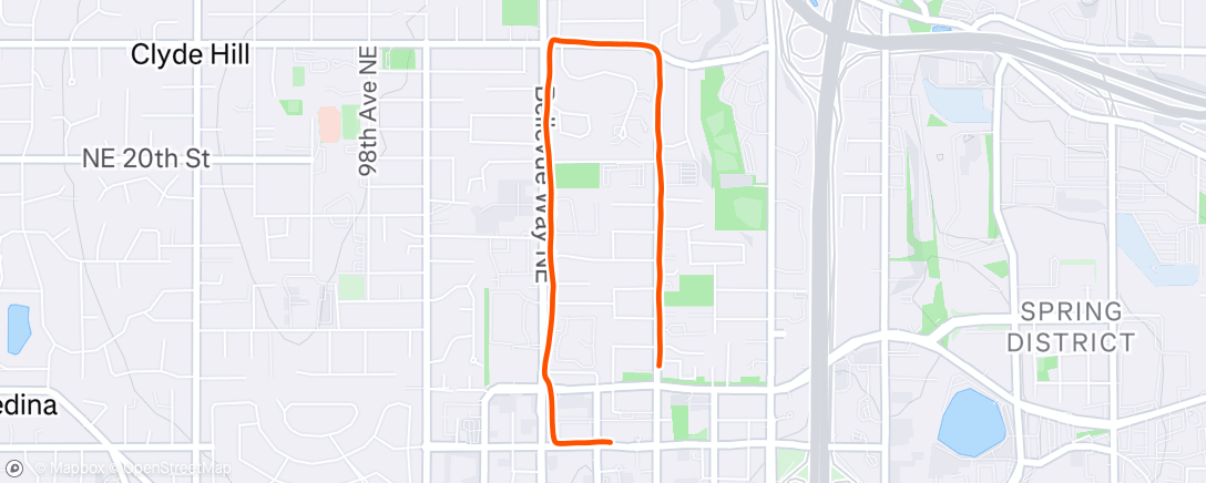 Map of the activity, Morning Run