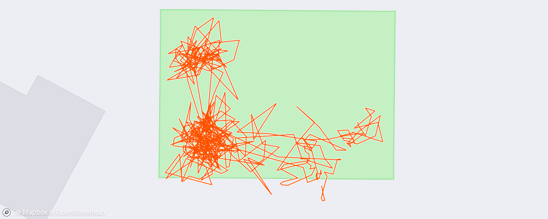 Map of the activity, Morning Workout