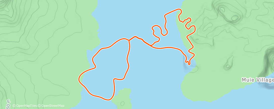 Map of the activity, Zwift - Jarvis Seaside Sprint in Watopia