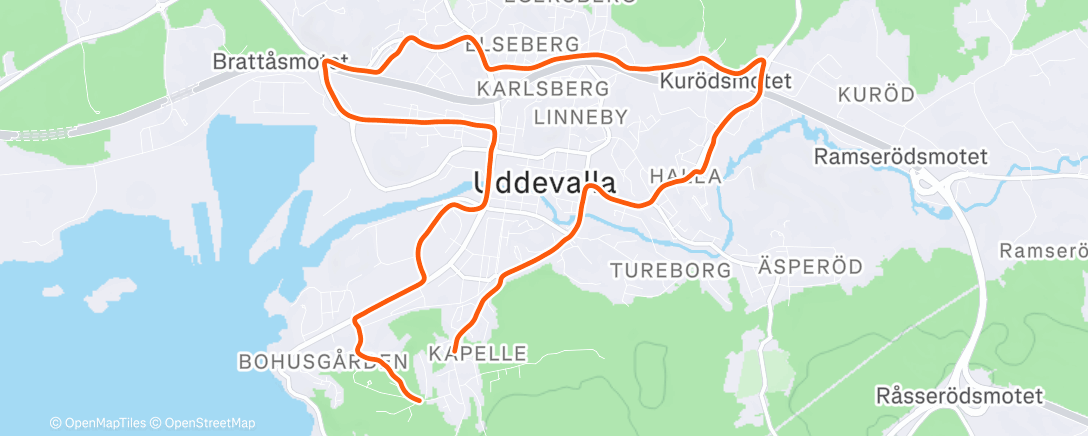 Map of the activity, Evening Run