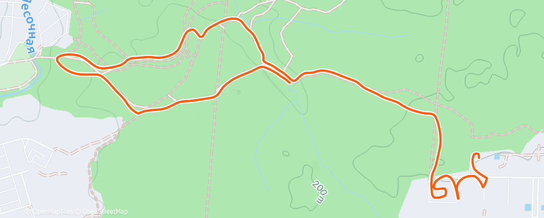 Карта физической активности (Night Trail Run)