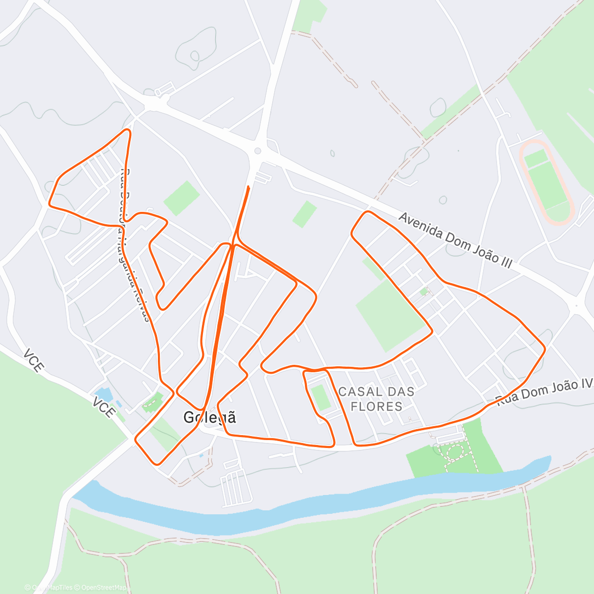 Map of the activity, São Silvestre dos "Cavalos" Golegã