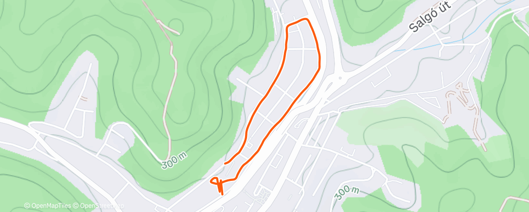 Карта физической активности (Afternoon Walk)