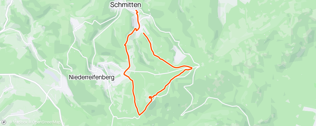 Карта физической активности (Wandergruppe von Schmitten zur Bergwertung (Feldberg) geführt)