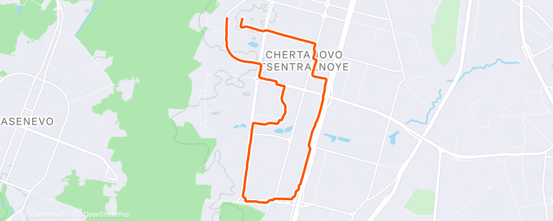 Карта физической активности (Evening Run)