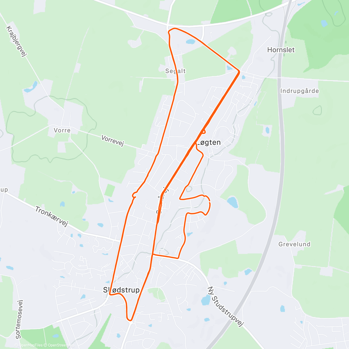 Карта физической активности (Early half with Jacob 💪)