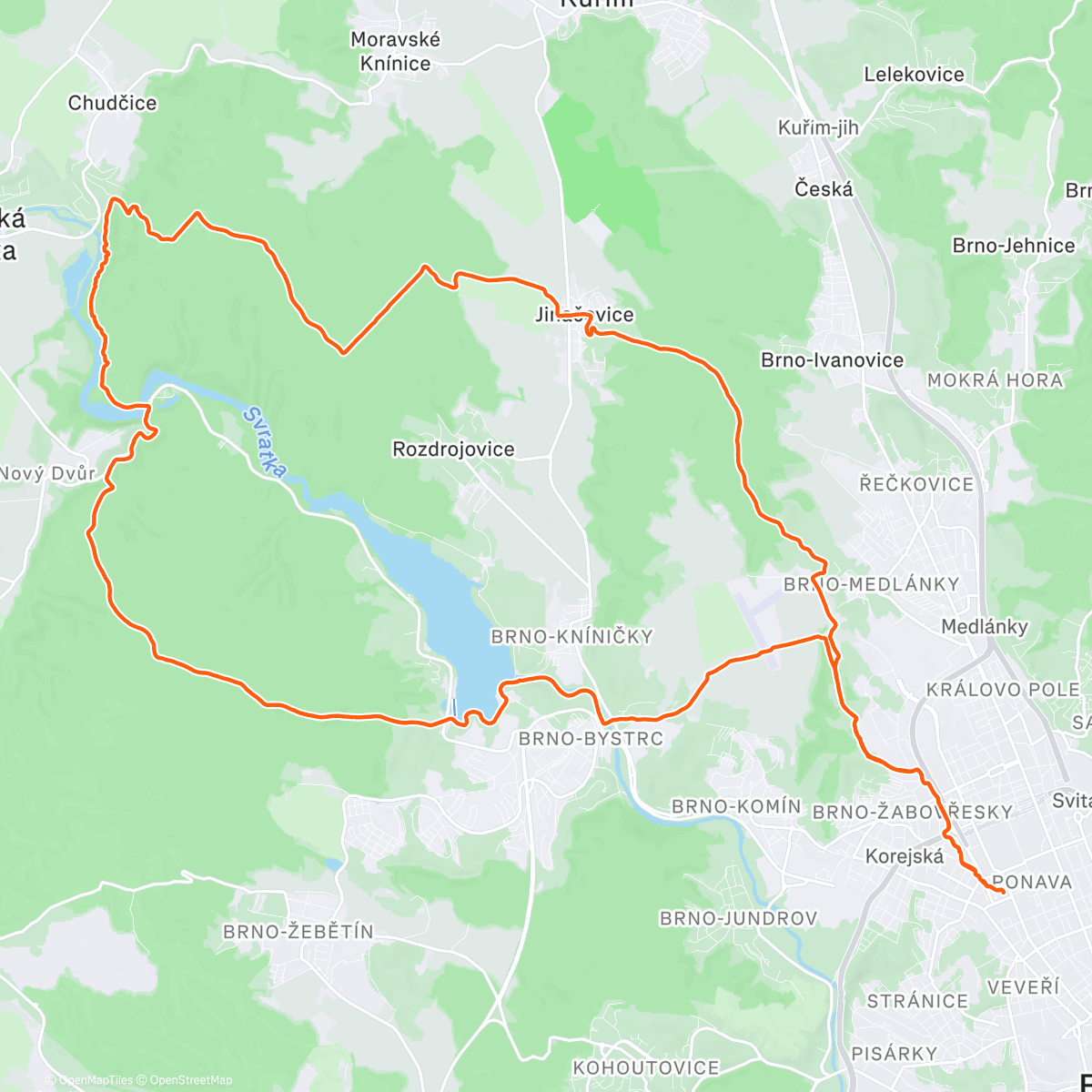 Карта физической активности (easy long)