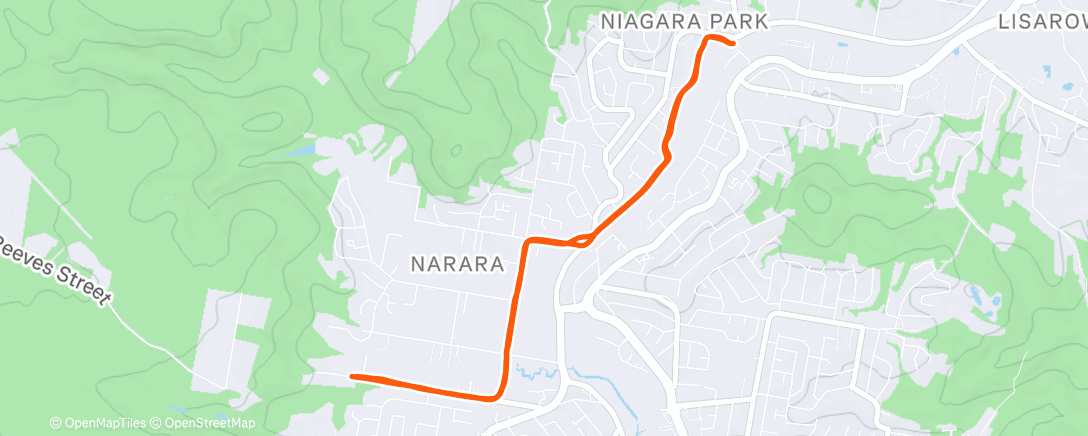 Map of the activity, Afternoon Run