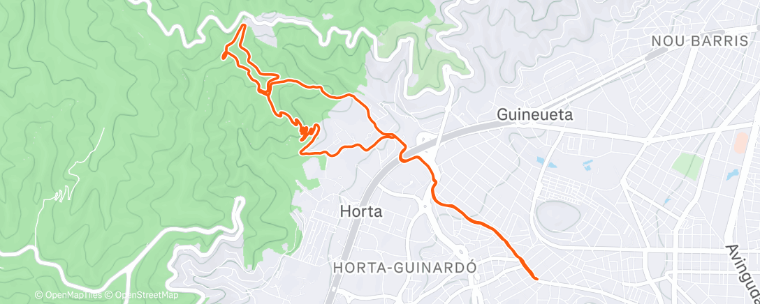 Карта физической активности (Morning Trail Run)