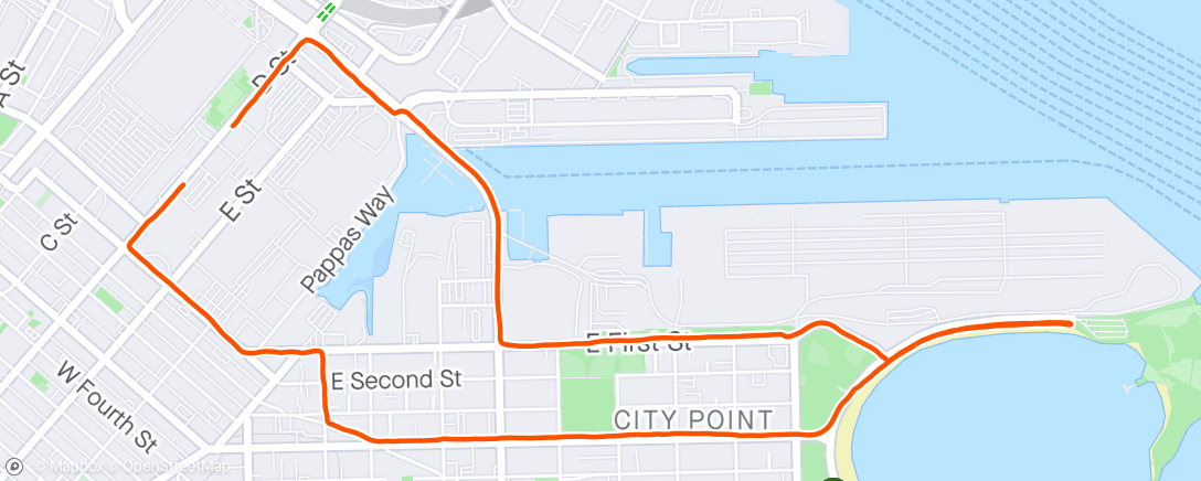 Map of the activity, 4 easy miles