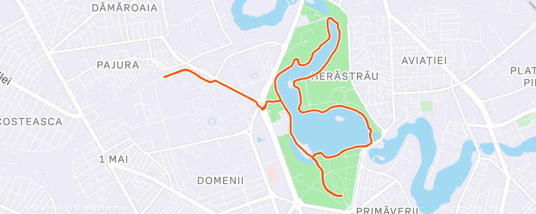 Карта физической активности (Morning Run)