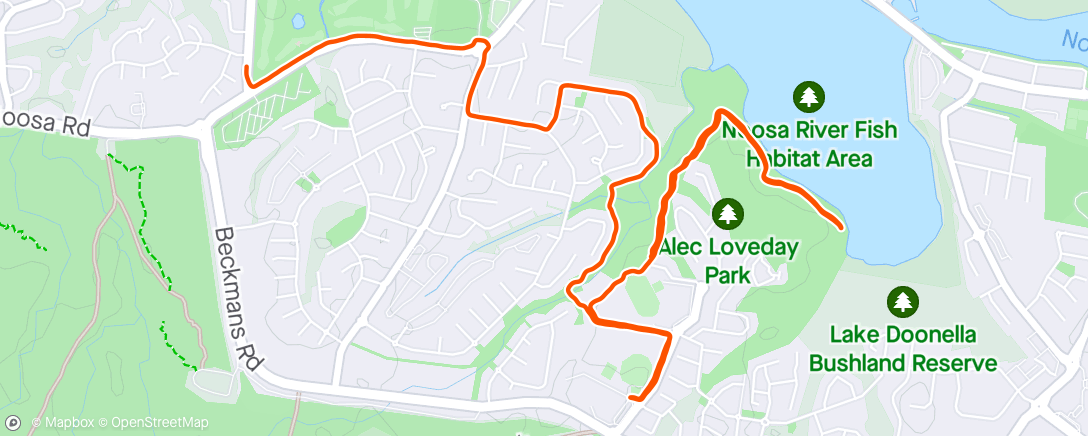 Map of the activity, Park run with Allegra