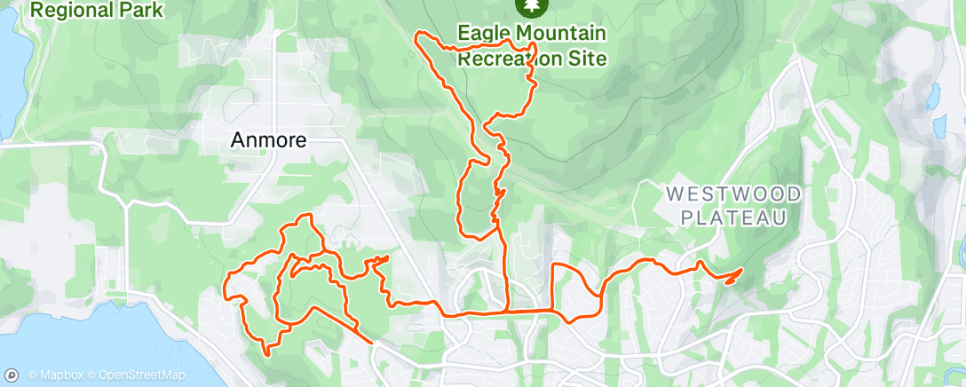 Map of the activity, Checking out the windfall