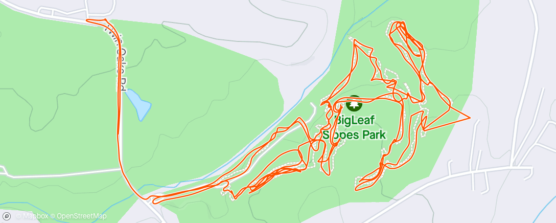 Map of the activity, Big Leaf Slopes