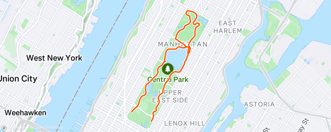 Map of the activity, New park who dis