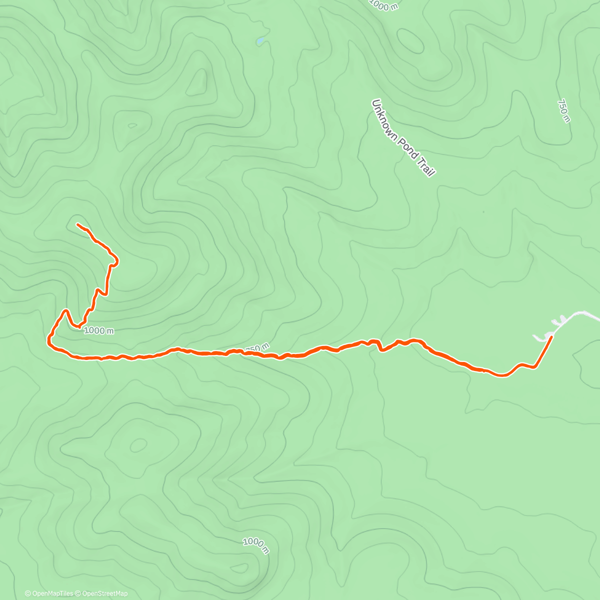 アクティビティ「Winter Wonderland on Cabot」の地図