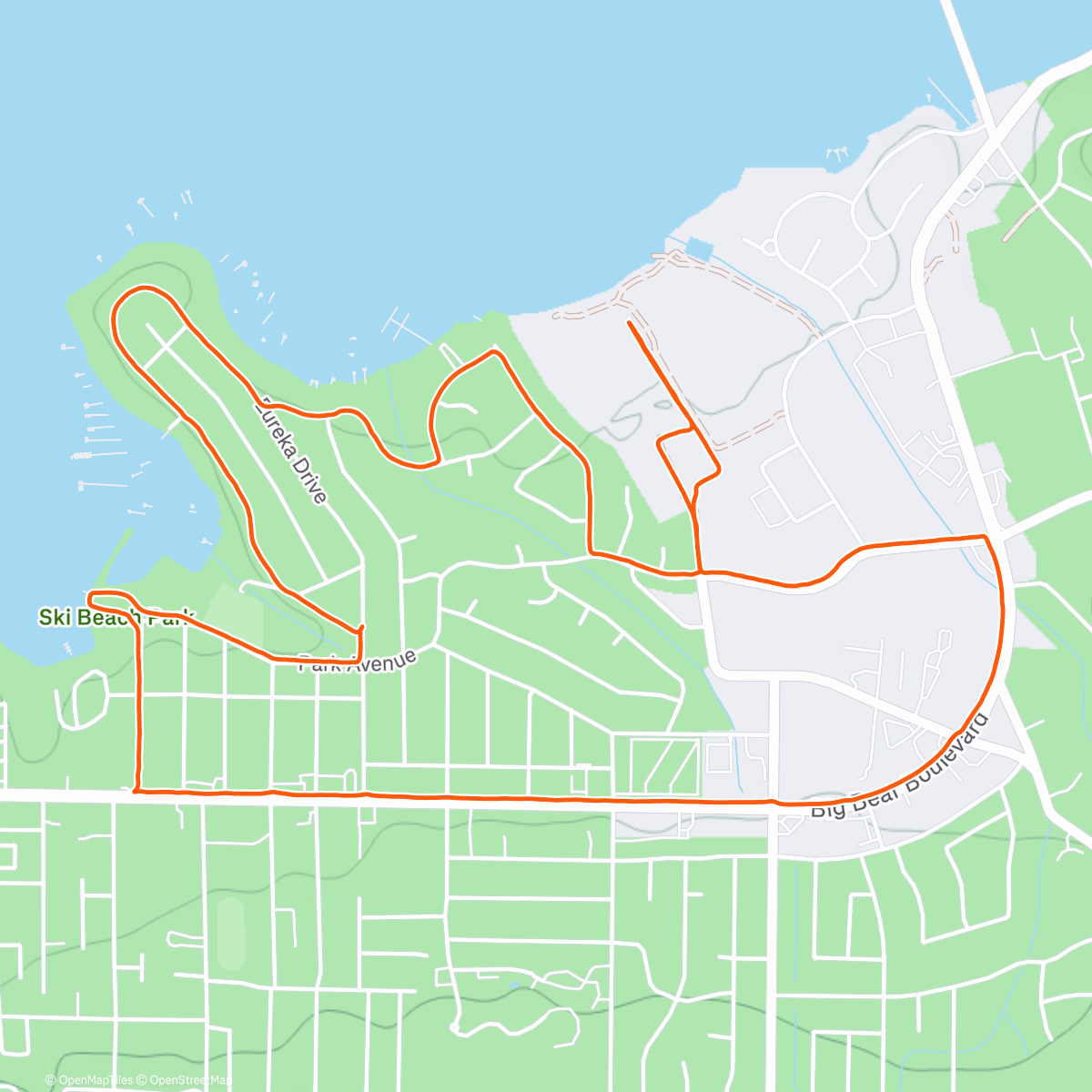 Карта физической активности (Big Bear!)