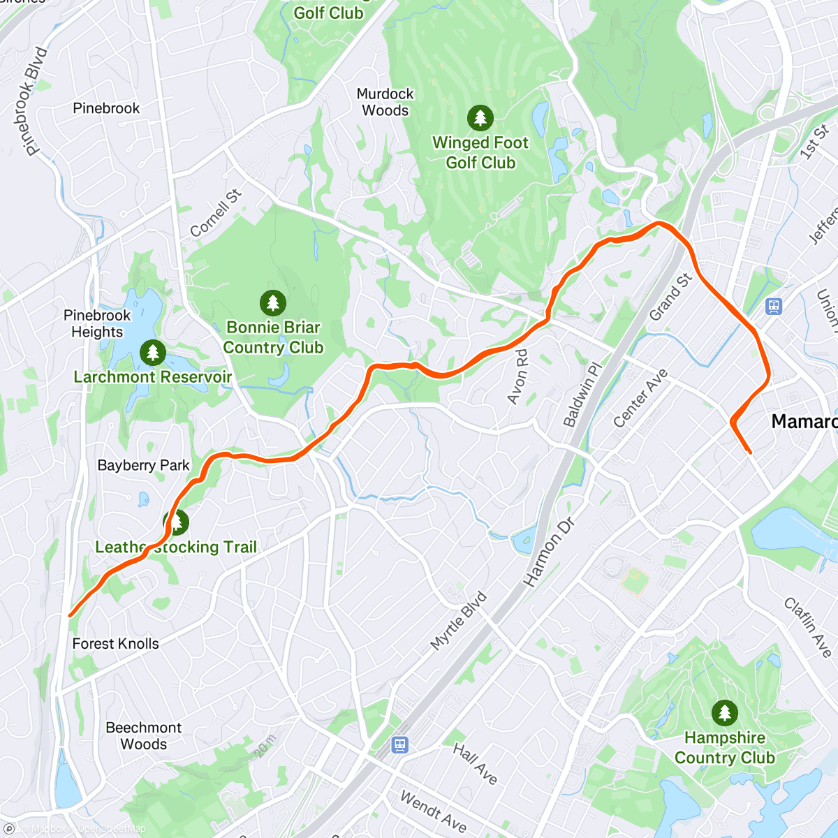 Map of the activity, Afternoon Run