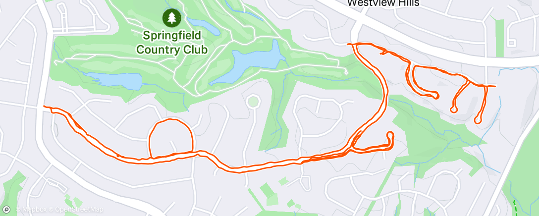 Map of the activity, Weighted vest walk with Michelle