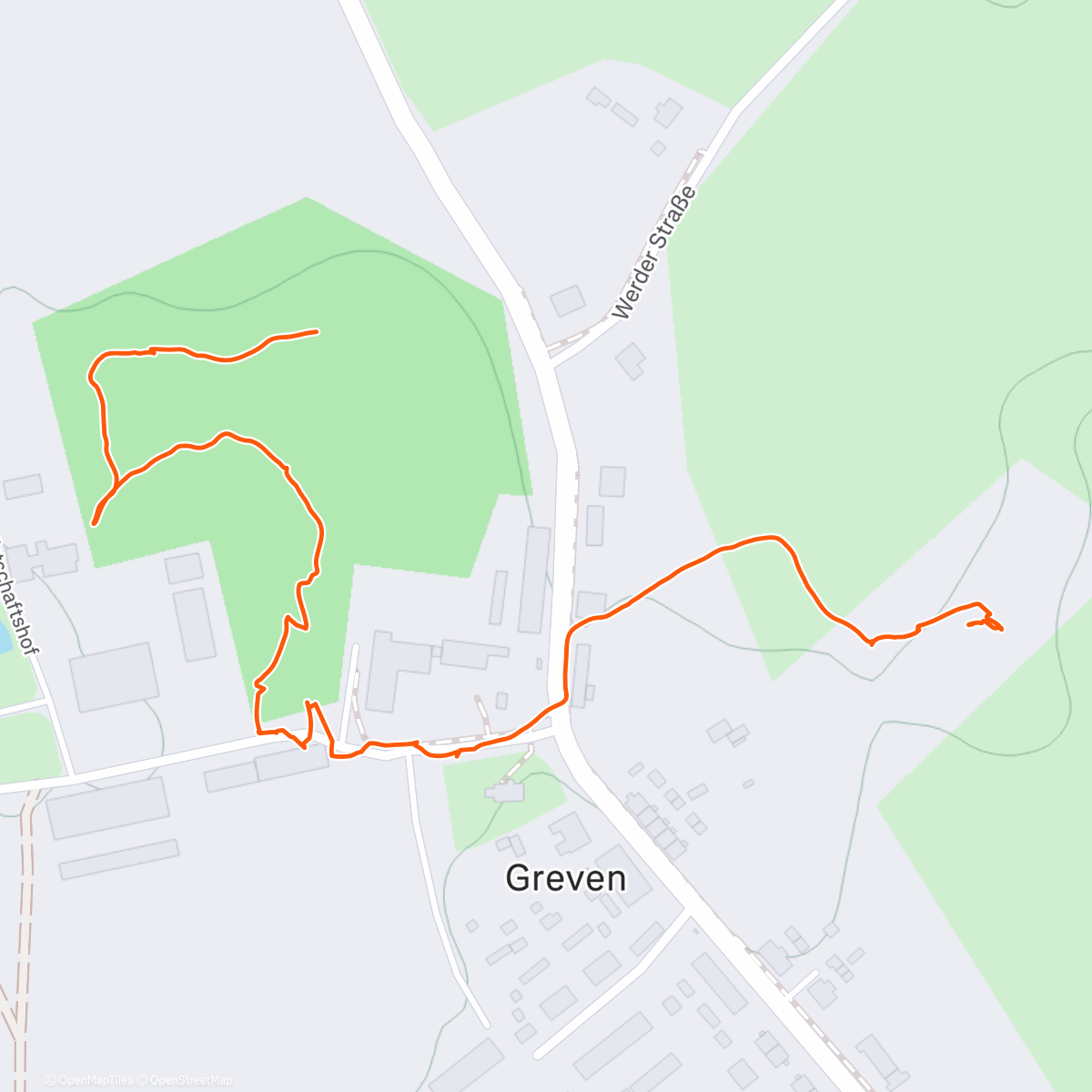 Карта физической активности (Hunde-Runde 🐾)