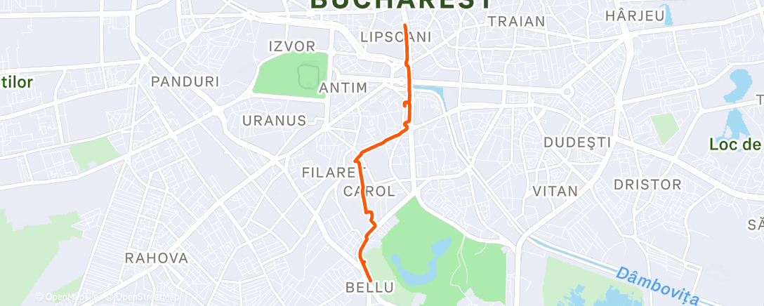 Map of the activity, Afternoon Run