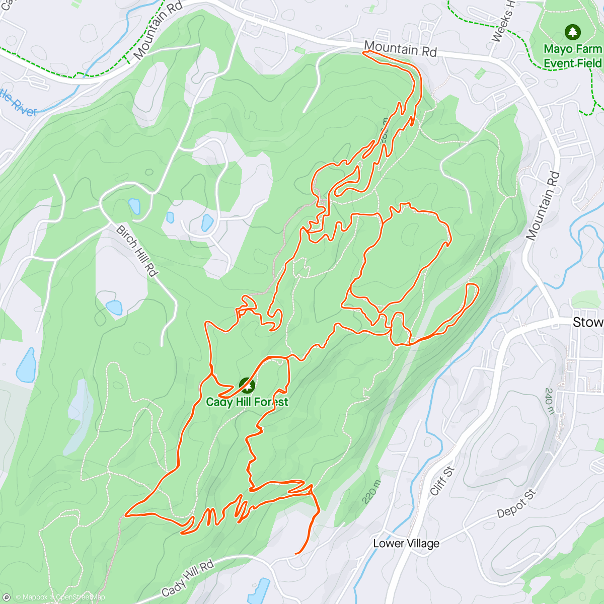 Map of the activity, Holy shit. Cady is in the best shape I have ever seen it. New dirt EVERYWHERE. No brake bumps (yet).