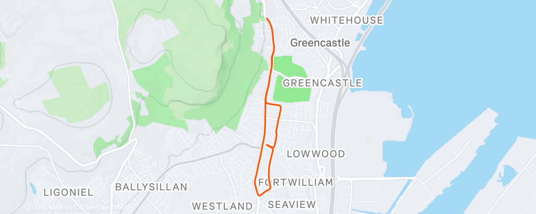 Карта физической активности (33’ - strides to finish)