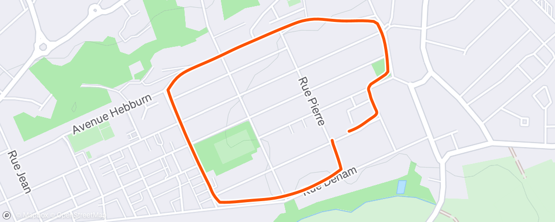 Map of the activity, Morning Run