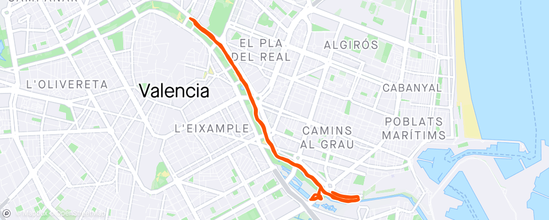 Map of the activity, Track Running