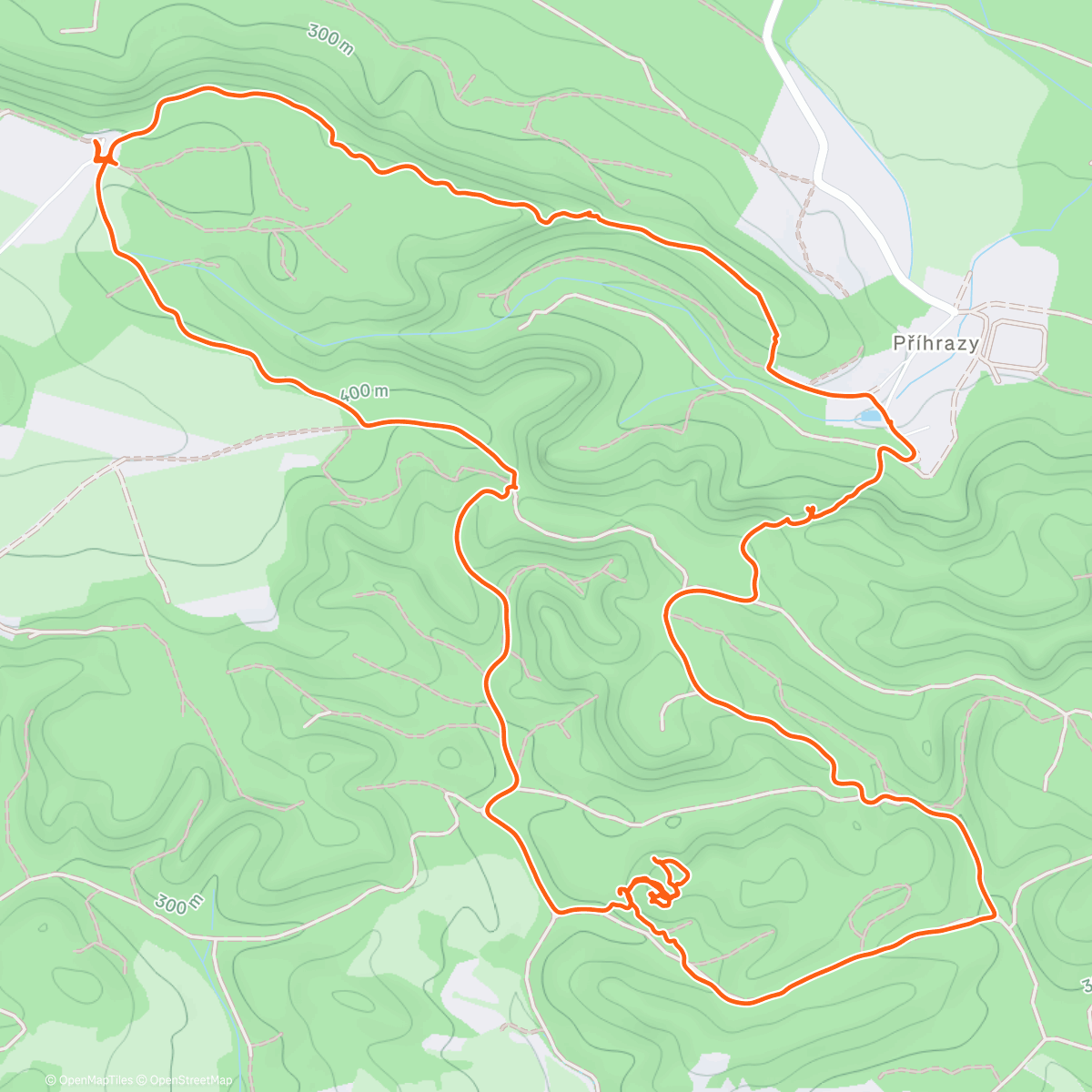 Карта физической активности (Lesní procházka)
