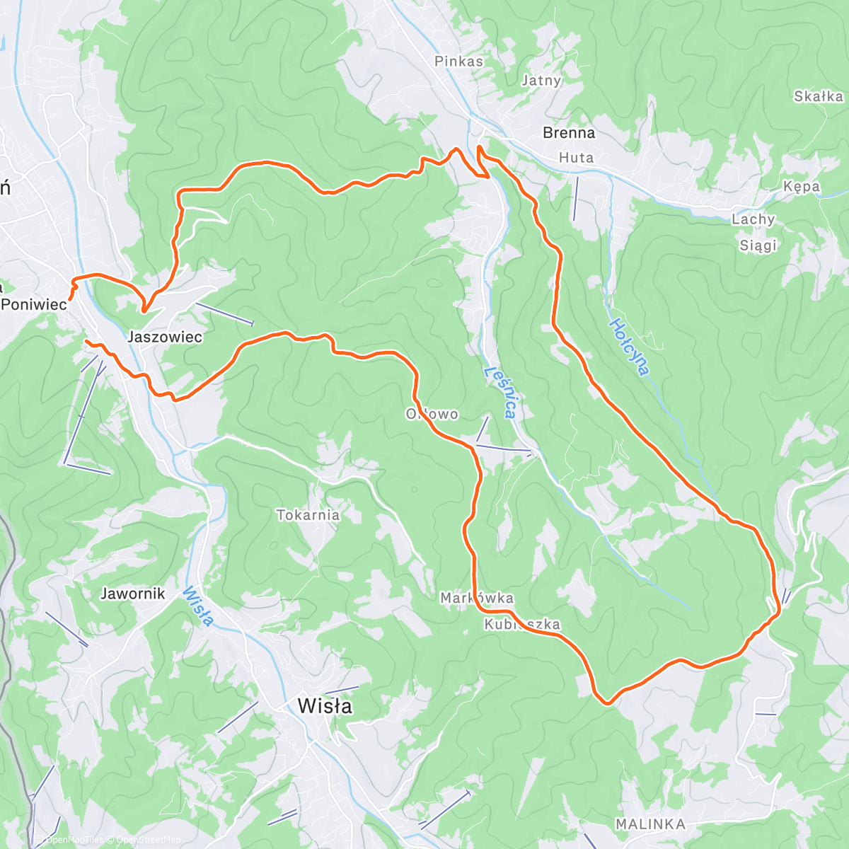 Map of the activity, Morning Trail Run