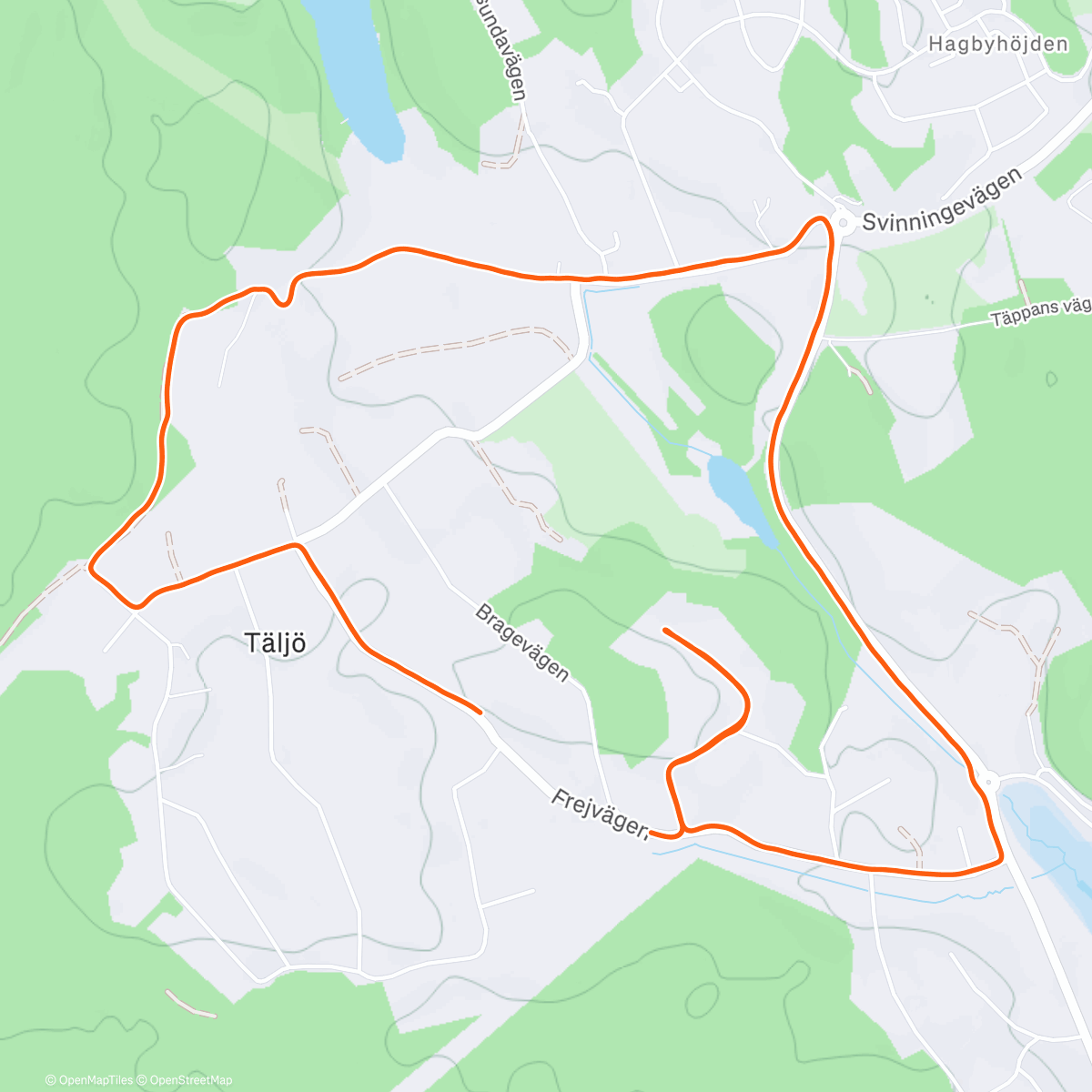 Карта физической активности (Last Run of 2025! Snow ❄️ Storm)